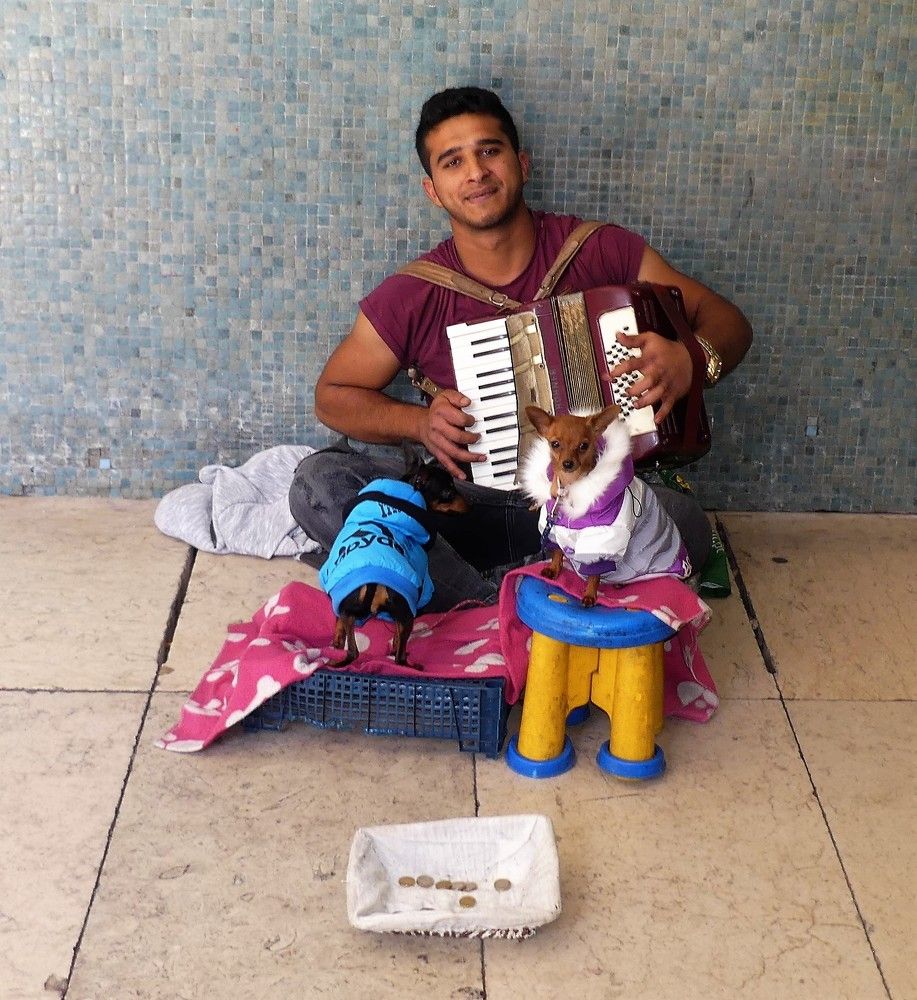 мелодии Лиссабона