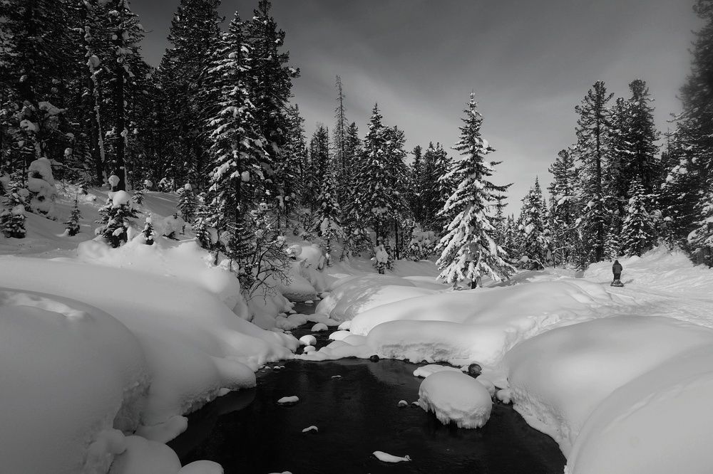 Photograph by Анастасия Скворцова