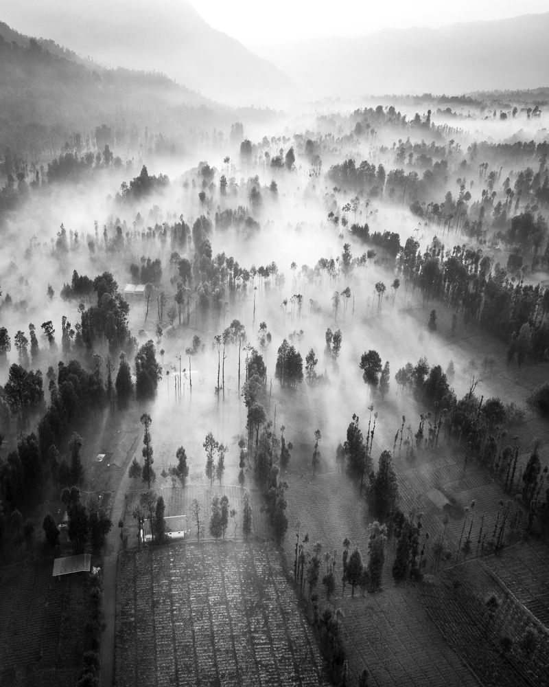 Фотография автора Wahid Hasyim