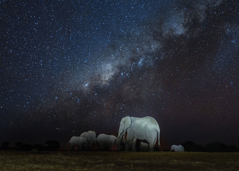 Photograph by Pablo Andres Villota Insuasty