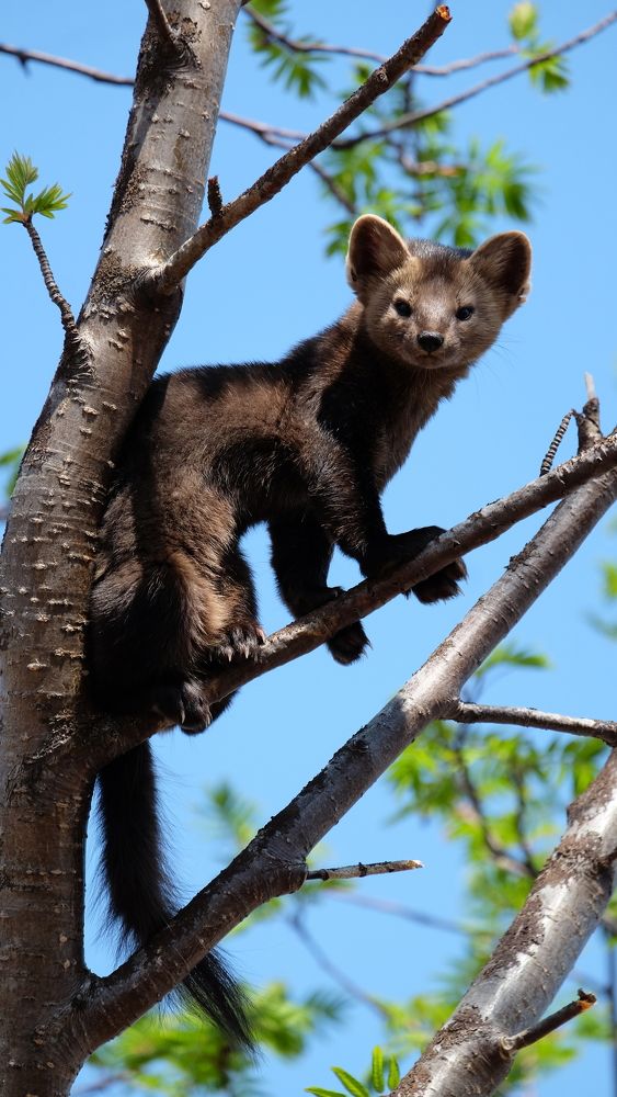 Photograph by Яна Бойко