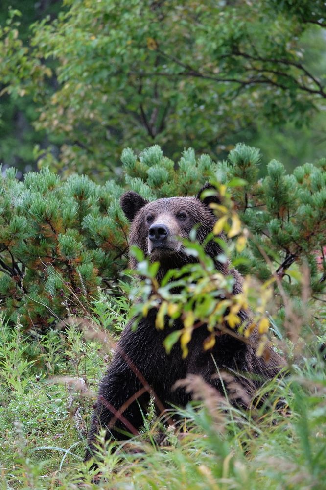 Photograph by Яна Бойко