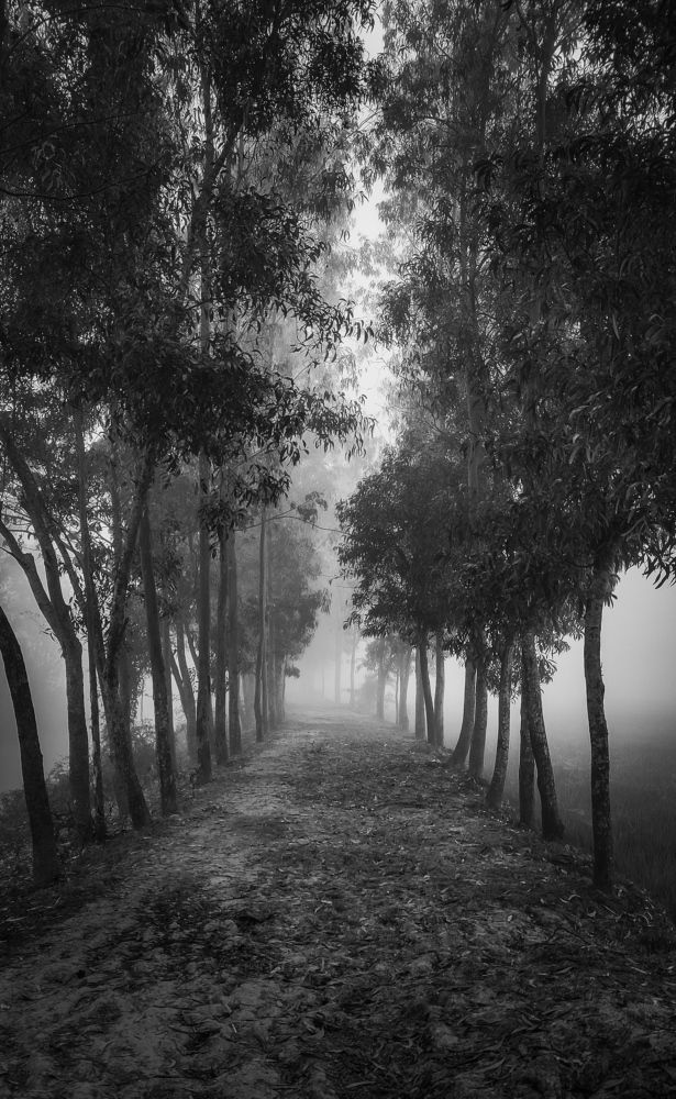 Photograph by Arindam Sahoo