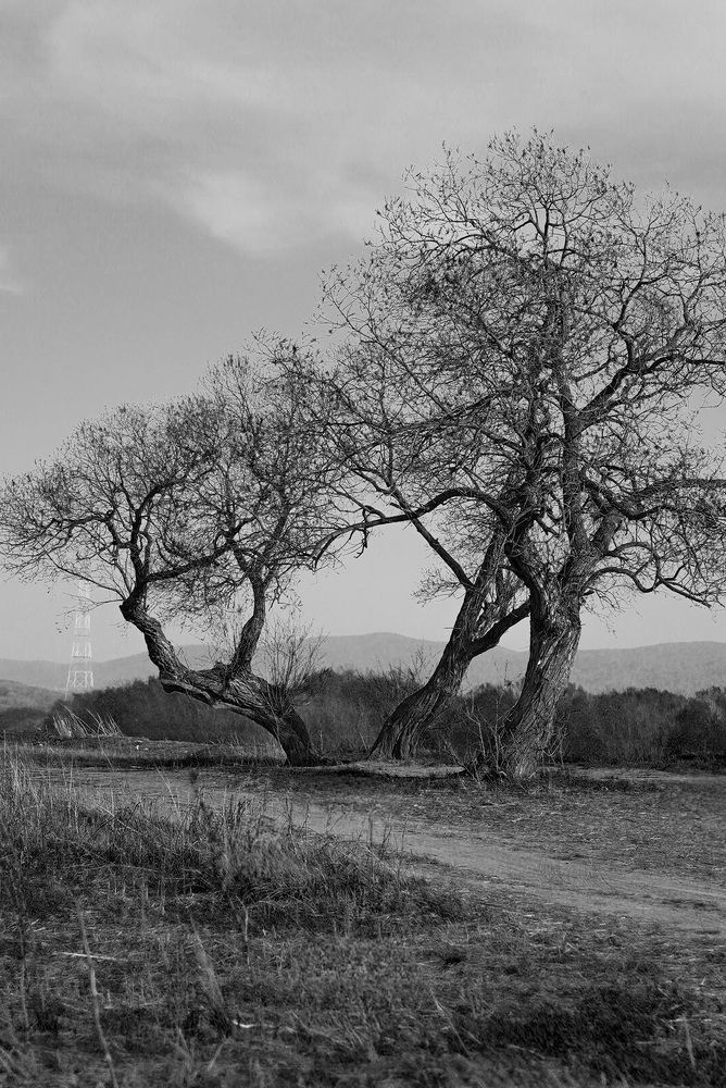 Photograph by Анна Колесниченко