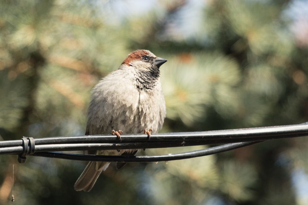 Photograph by Мешков Кирилл