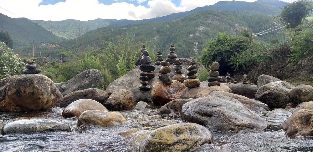 Photo #7708054
