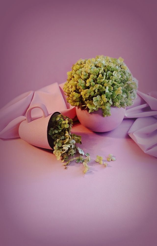 Photograph by Виолетта Рябова