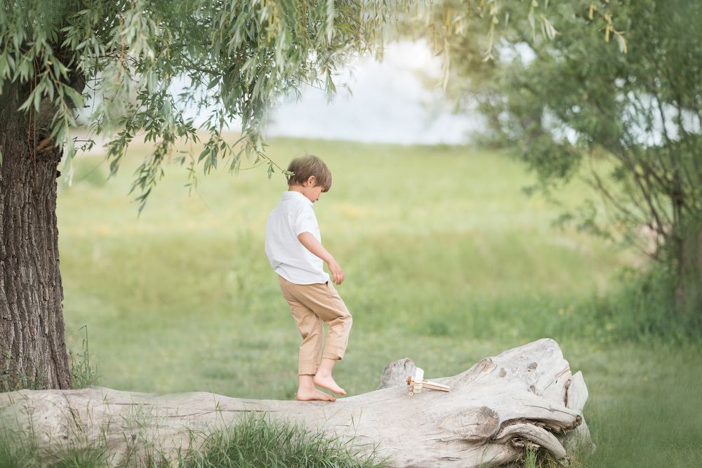 Мечты о небе