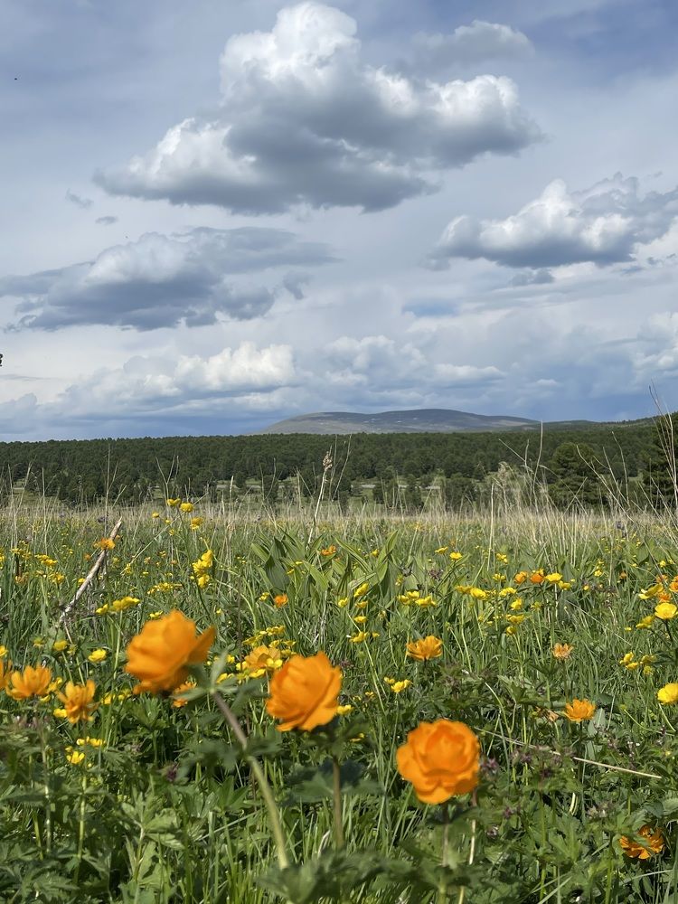 Фотография автора галина лапшина