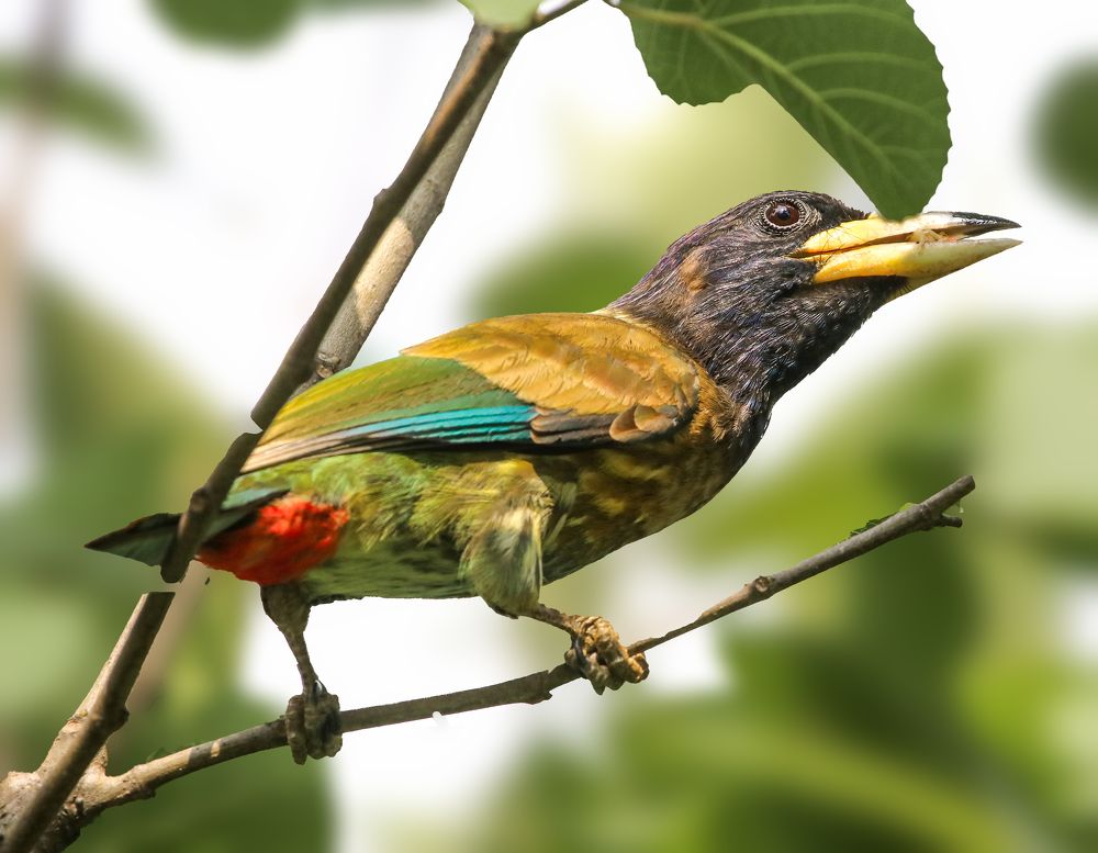 Photograph by prasenjit sinha