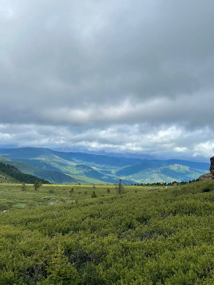 Фотография автора галина лапшина