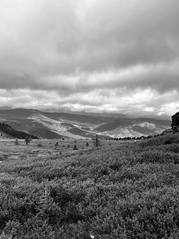 Фотография автора галина лапшина