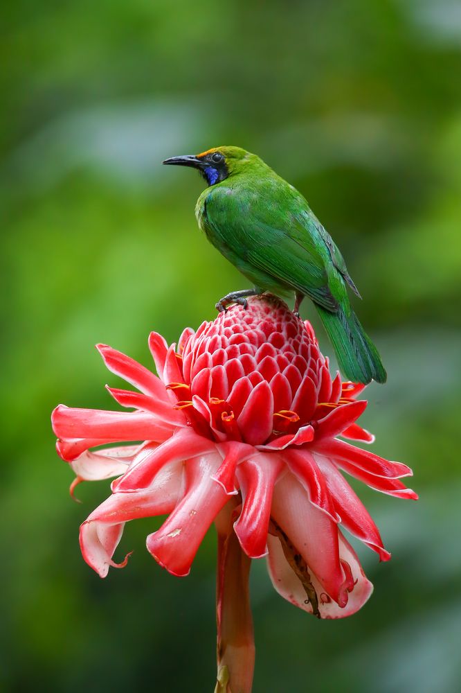 Photograph by Signan varghese