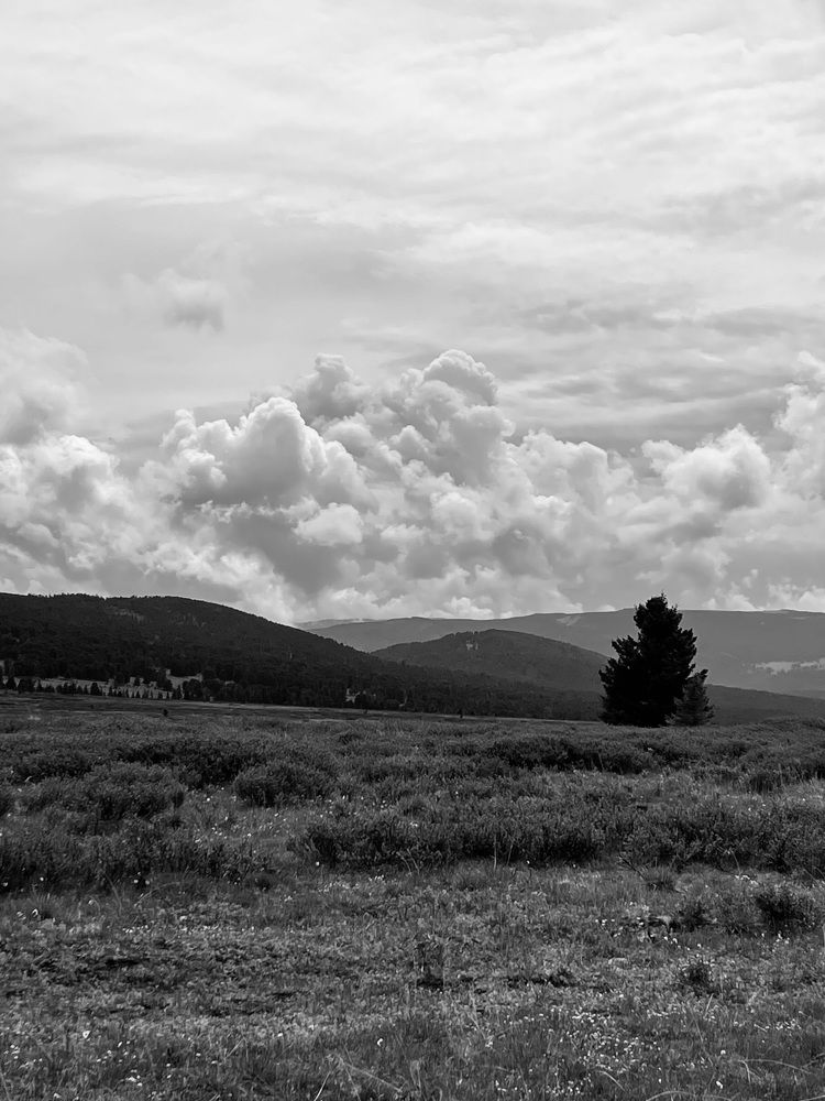 Фотография автора галина лапшина