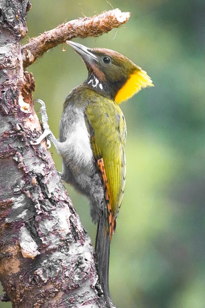 Photograph by prasenjit sinha