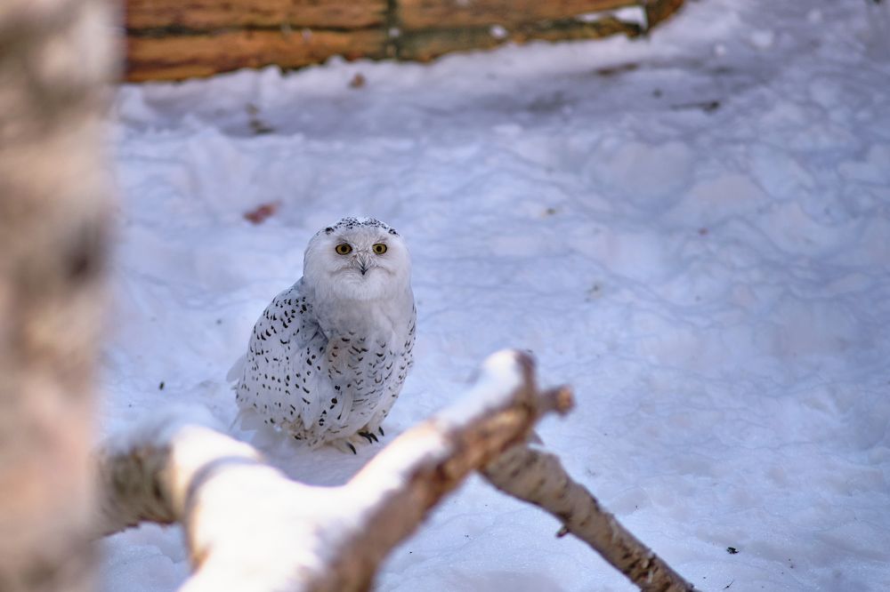 Фотография автора Дмитрий Рудь
