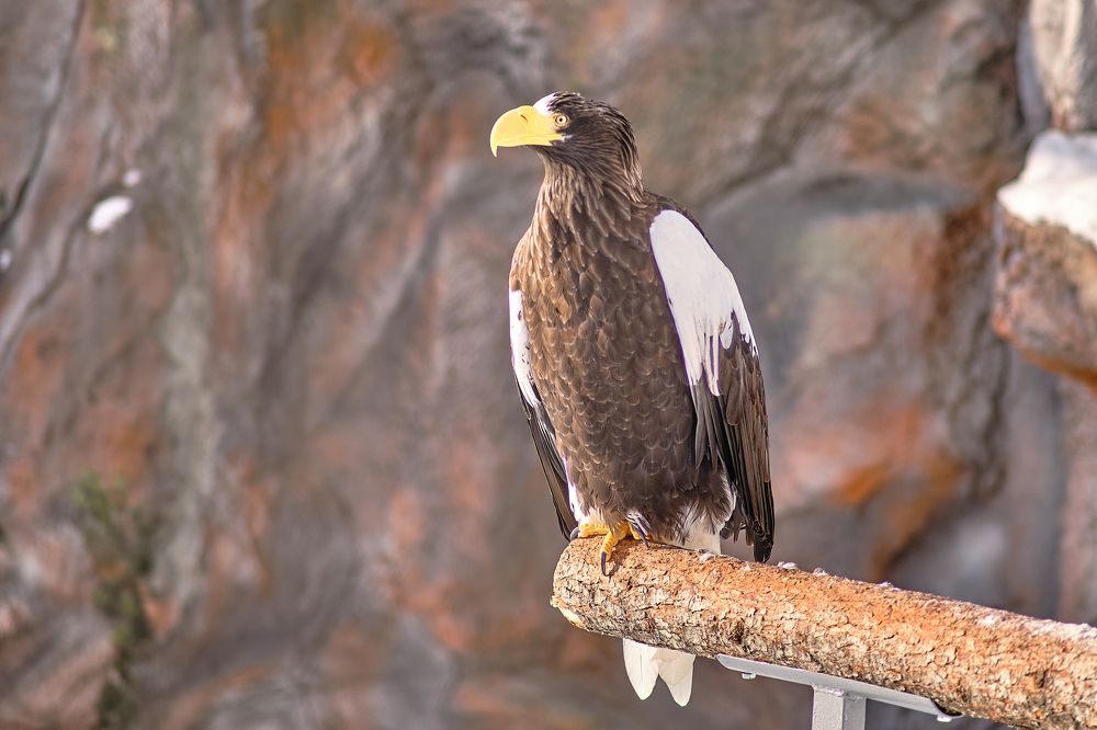 Фотография автора Дмитрий Рудь