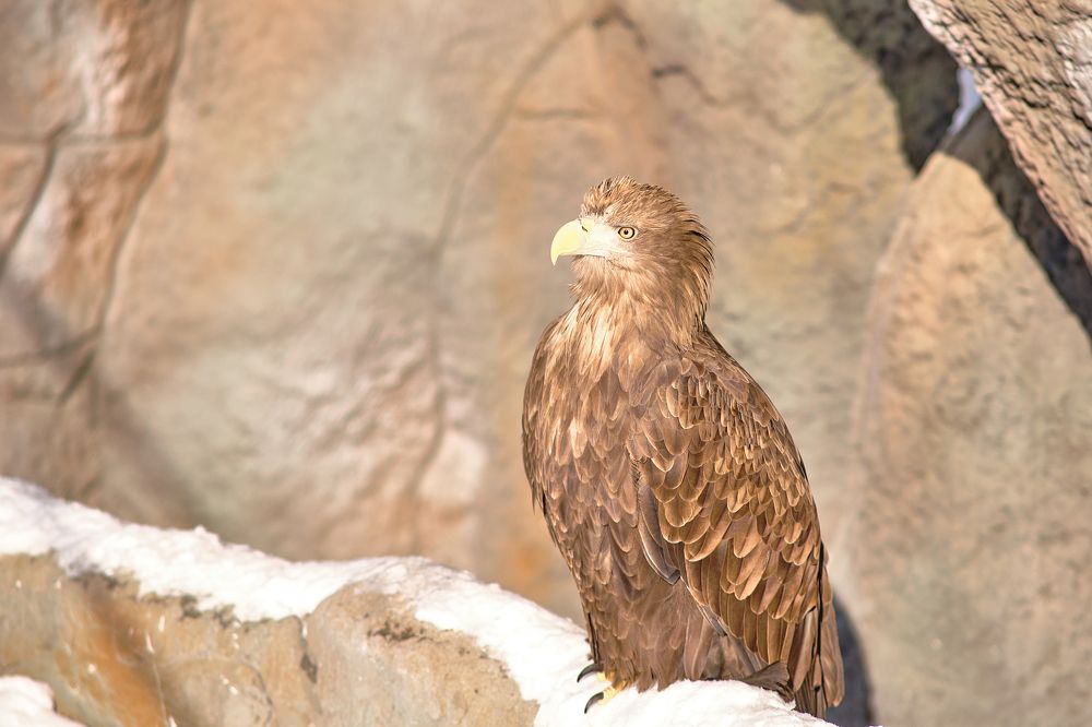 Фотография автора Дмитрий Рудь