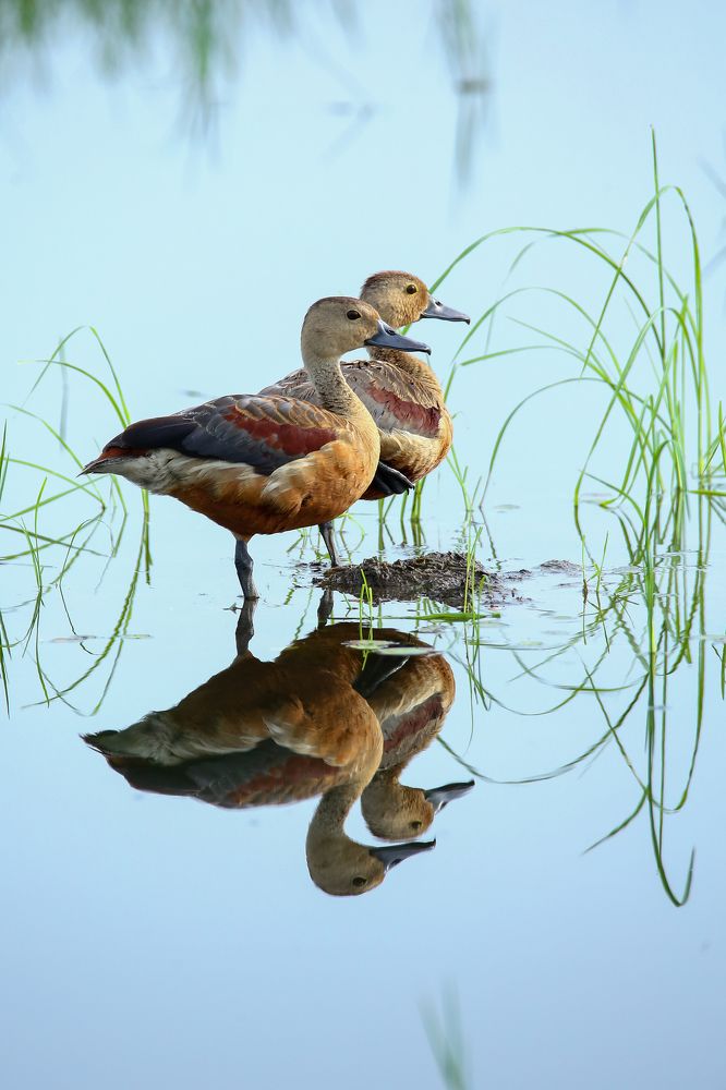 Photograph by Signan varghese