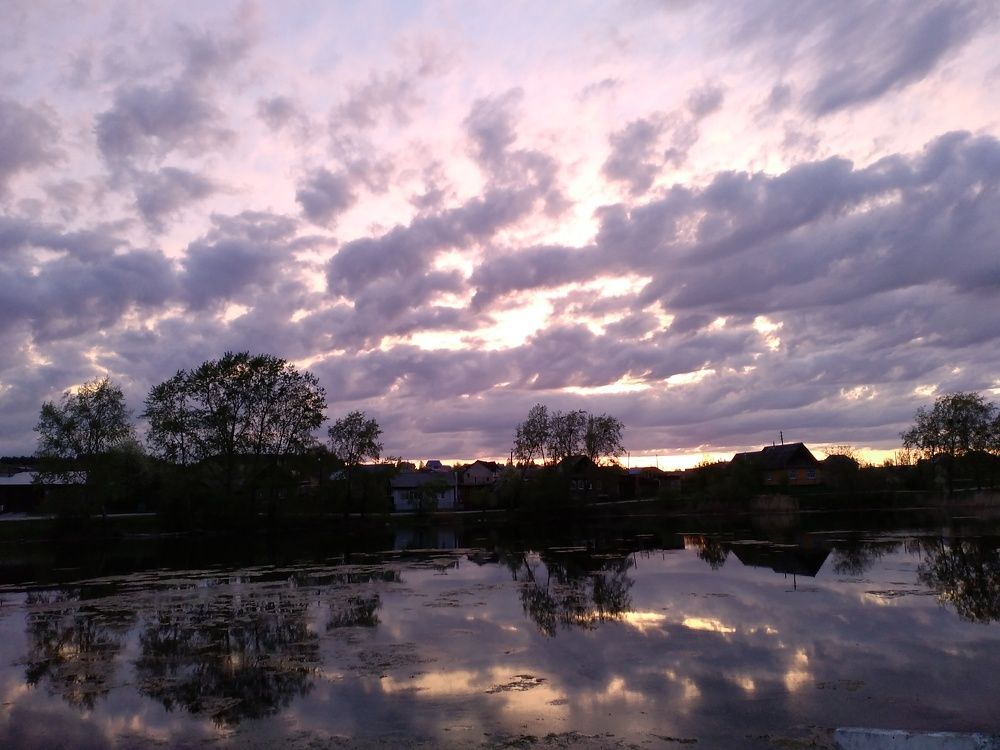 Photo #7708245
