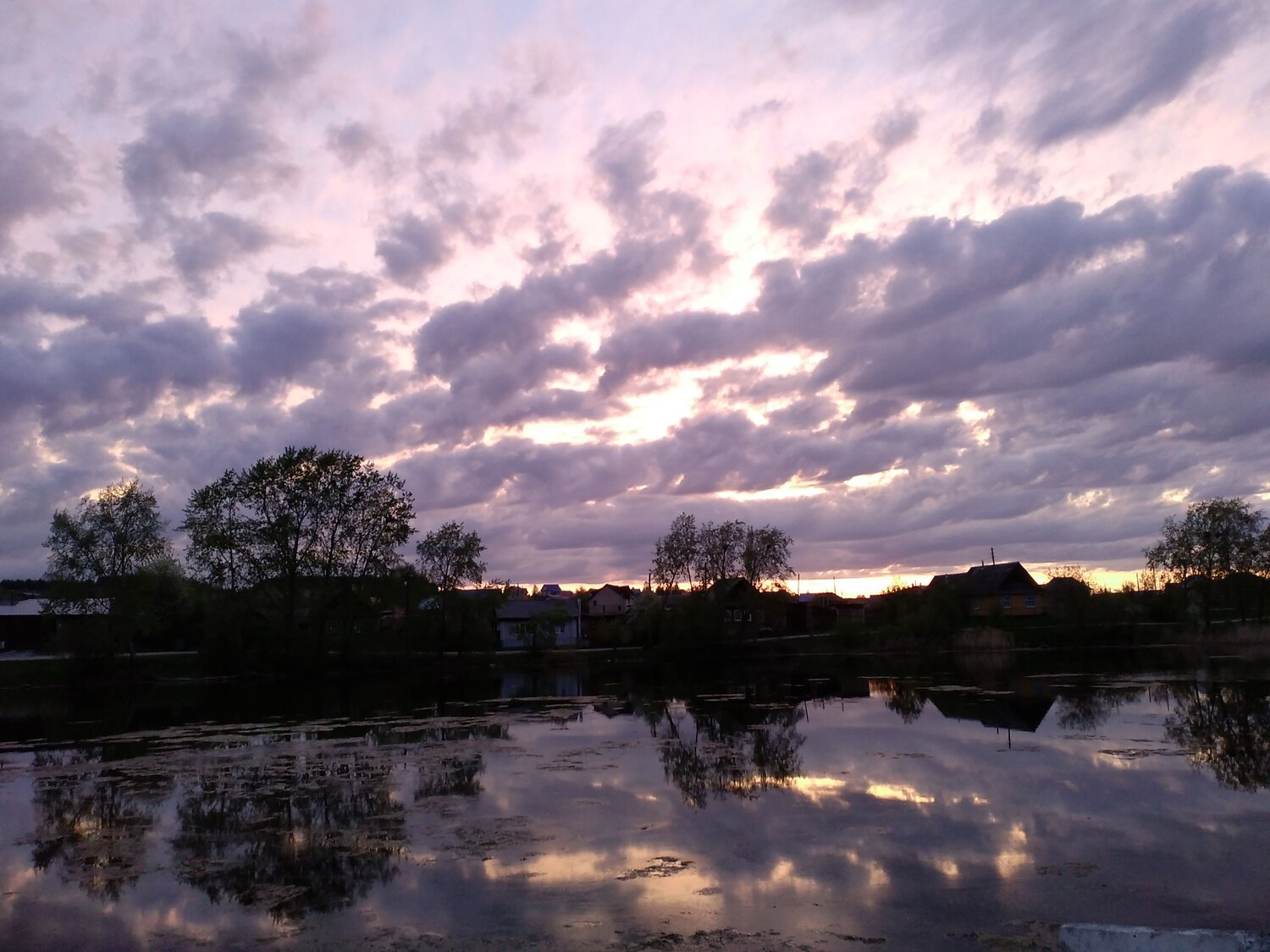 Photo #7708245