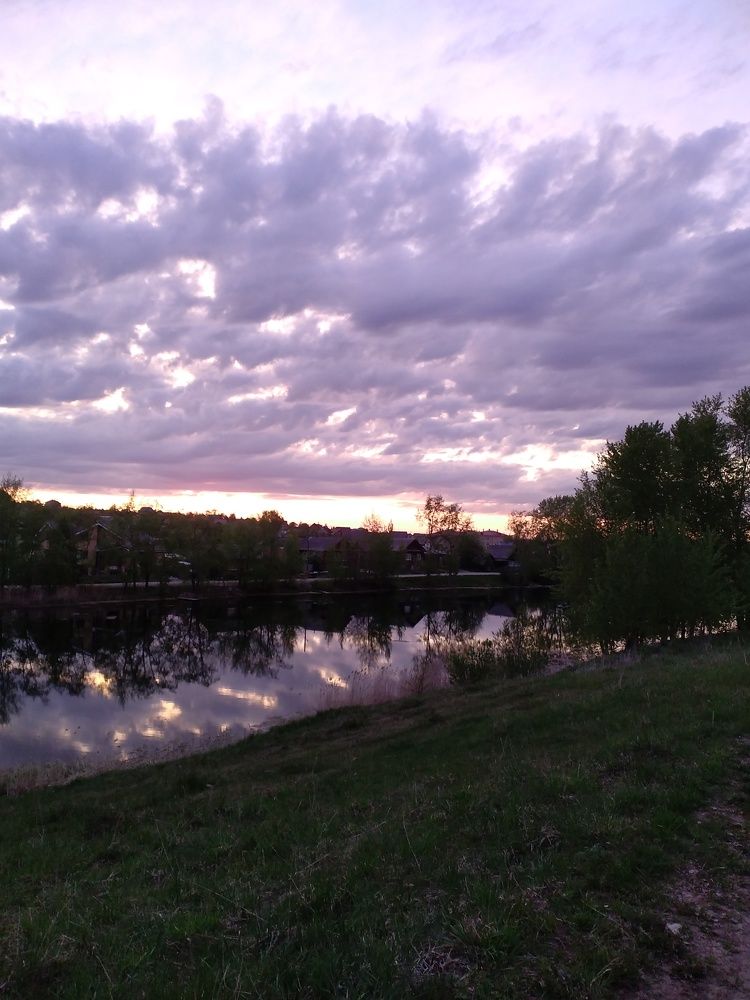 Photo #7708256