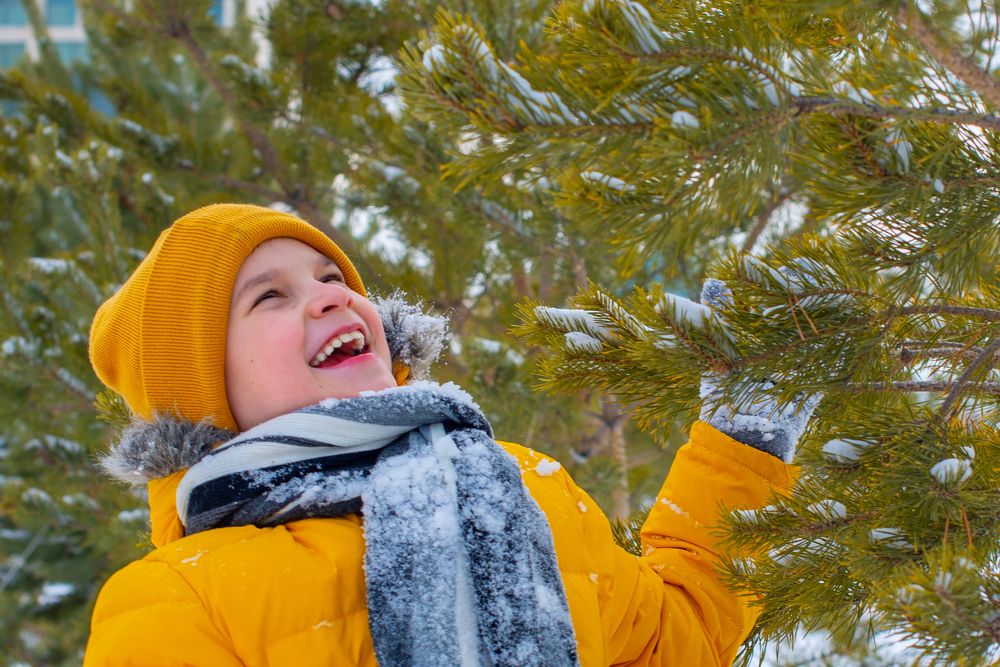 Снежная сказка