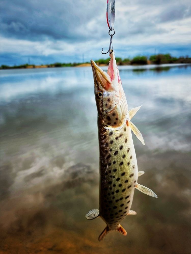 Photograph by Василий