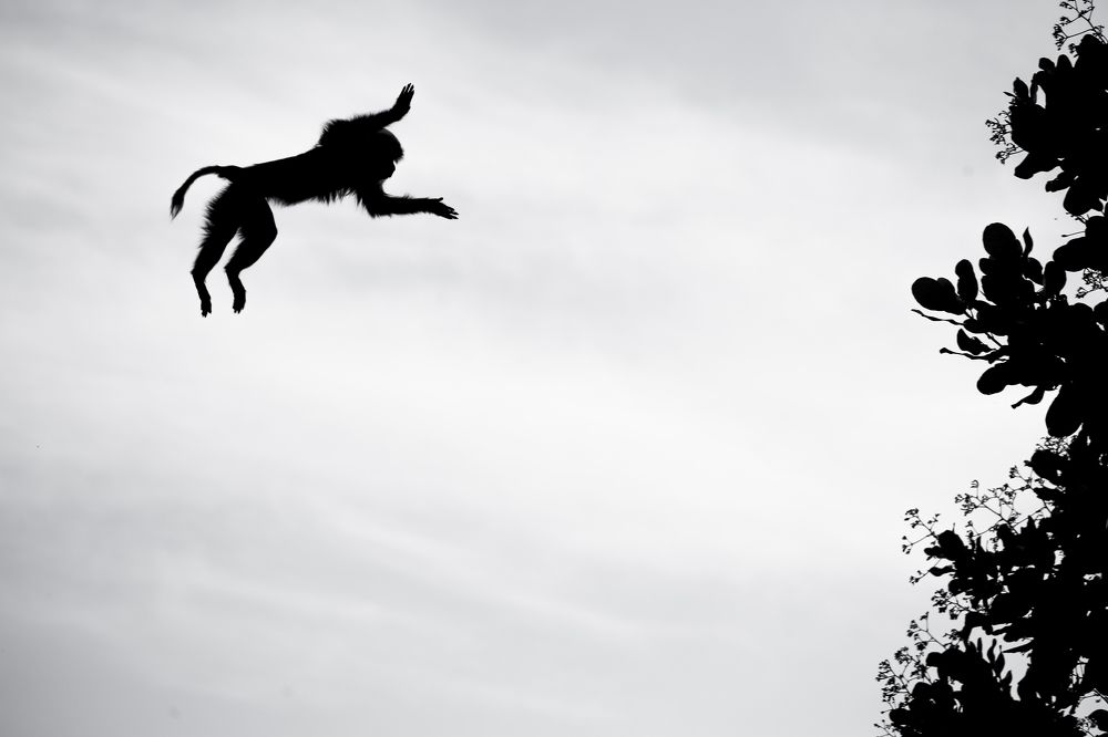 Photograph by Signan varghese