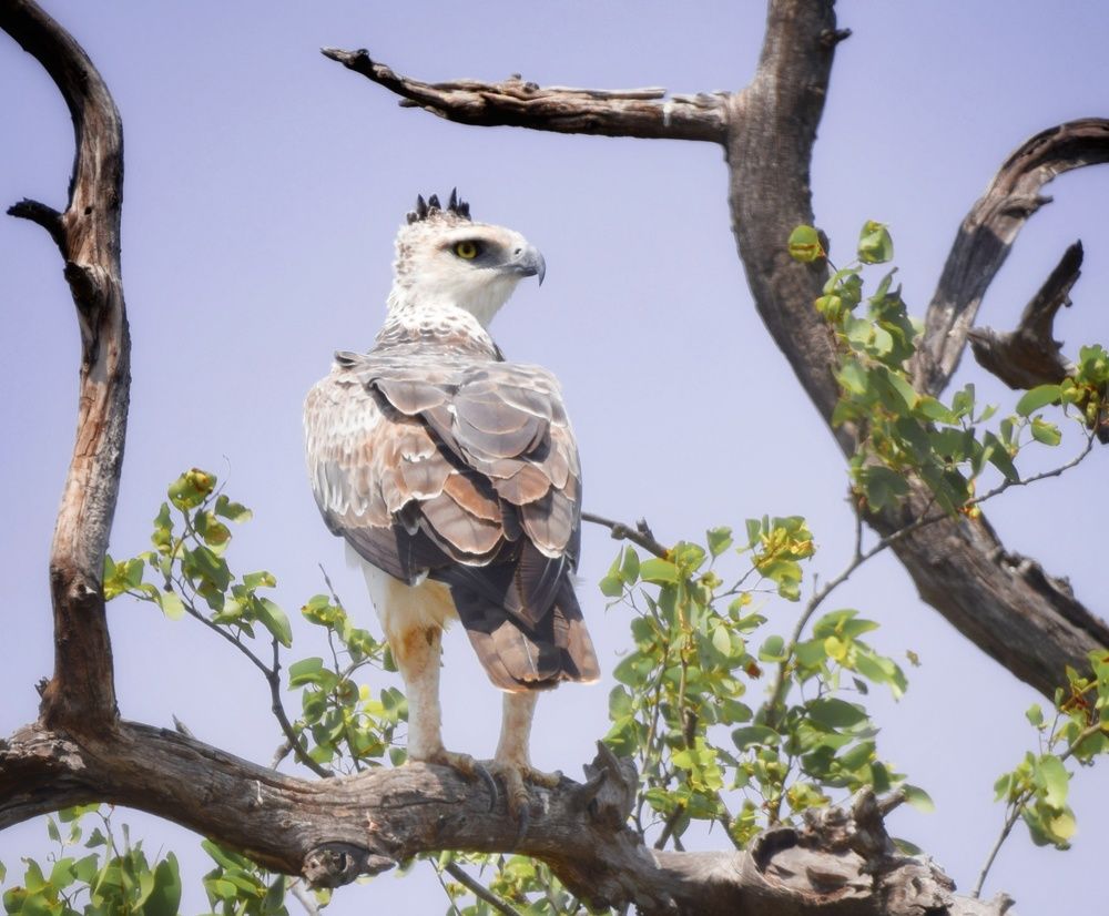 Photograph by Michelle Storm