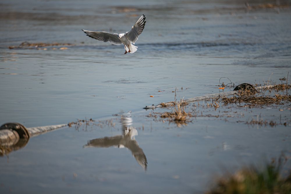 Photograph by Mohammadreza Majlesifar