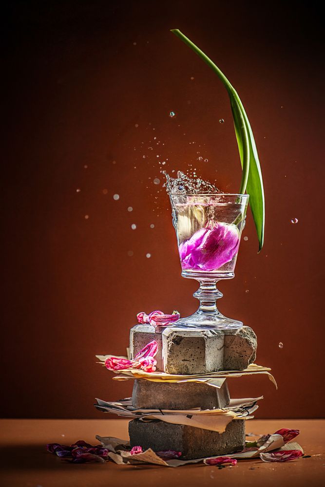 Photograph by Dina Belenko