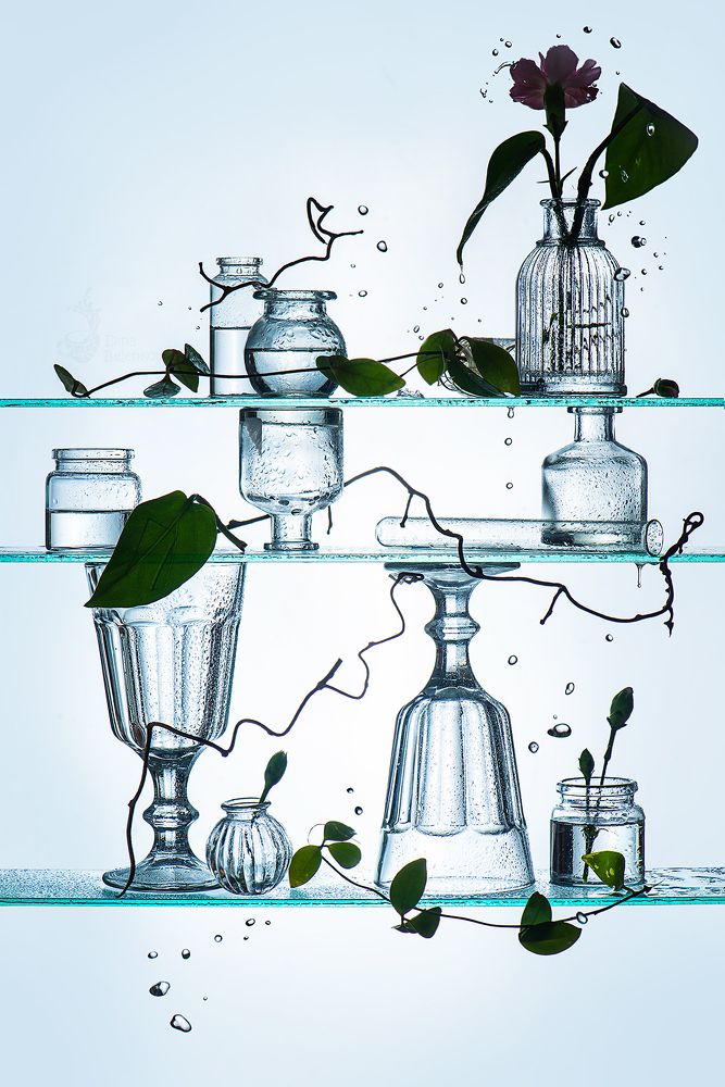 Photograph by Dina Belenko