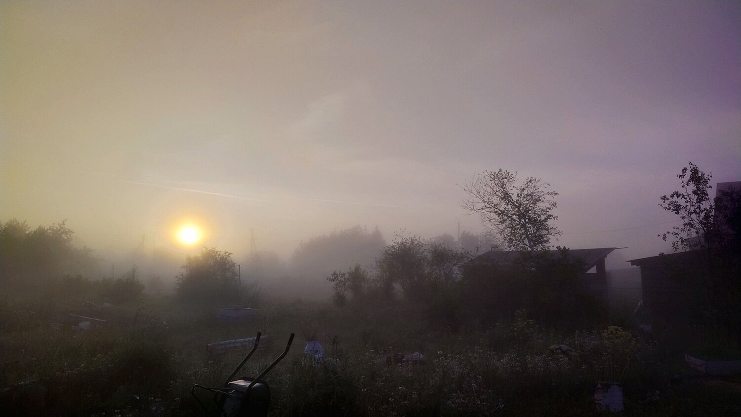 Photo #7708477