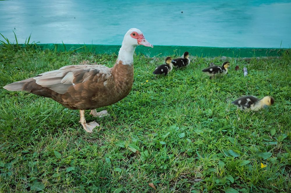 Photograph by Николай Ковальчук