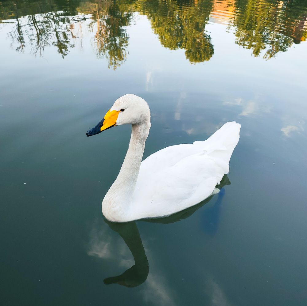 Photograph by Николай Ковальчук