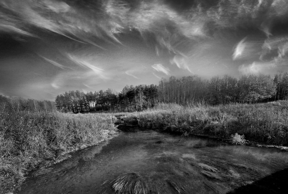 Photograph by Борис Кравецкий