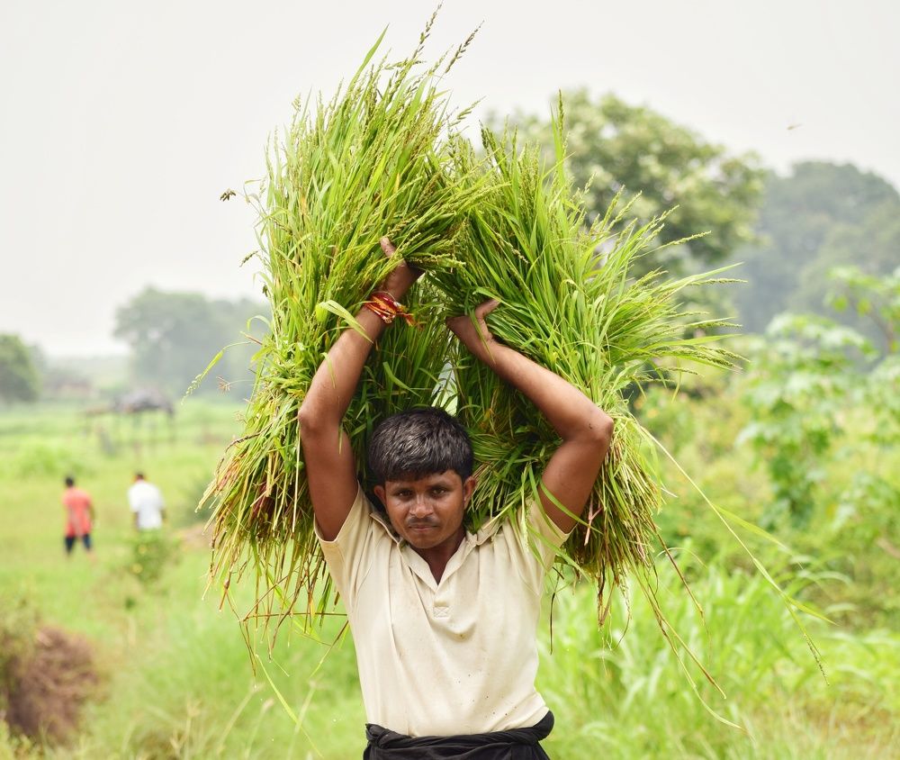 Photograph by Parag vatsa