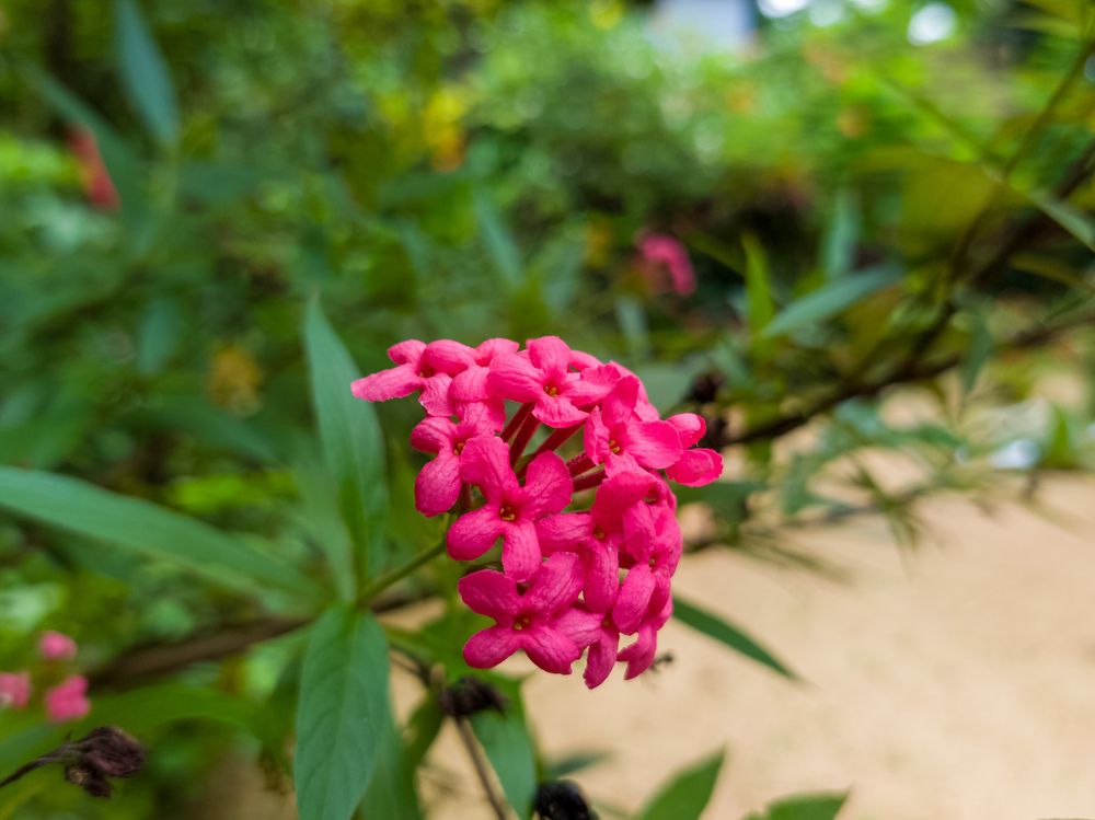 Photograph by Vedant Kalore