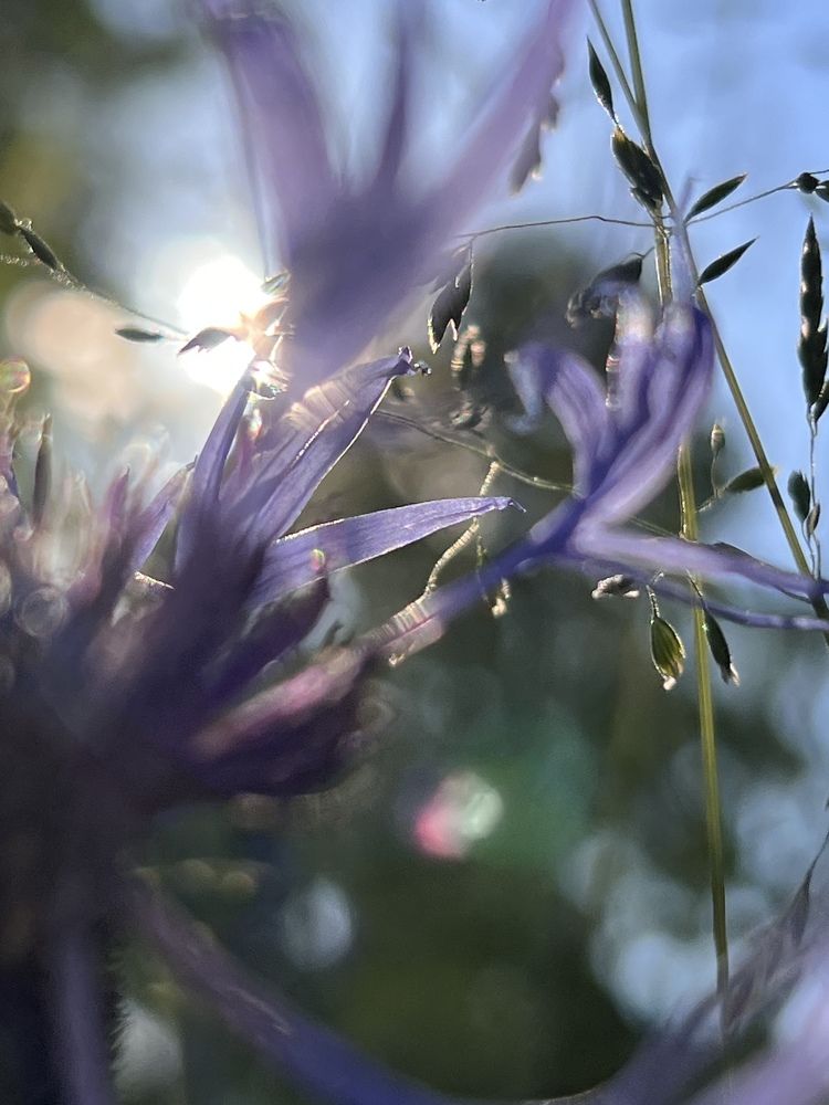 Photograph by Елена Зенкевич