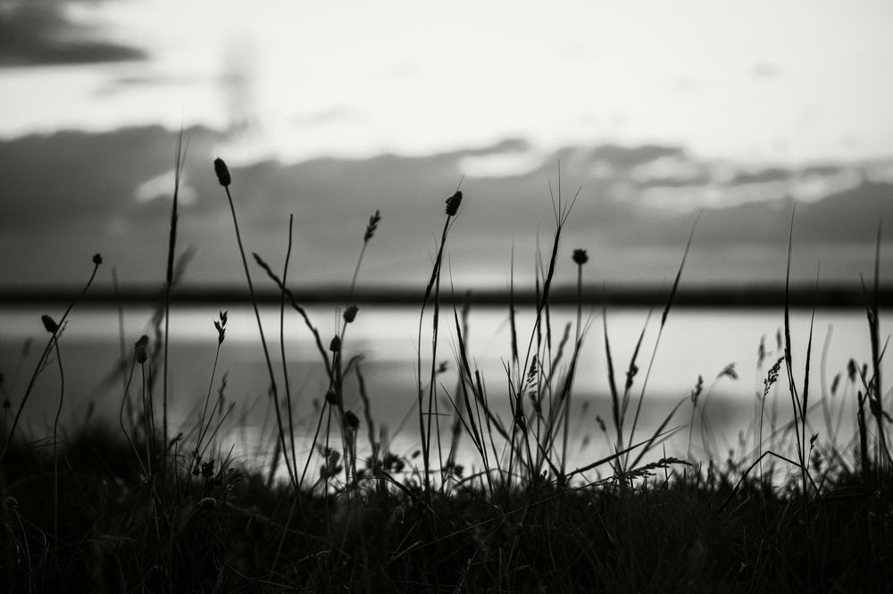 Photograph by Владимир Зайцев