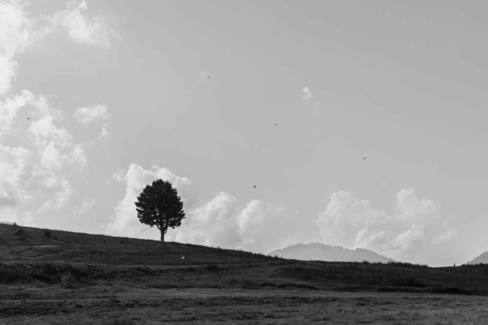 Photograph by Salman Nazeer