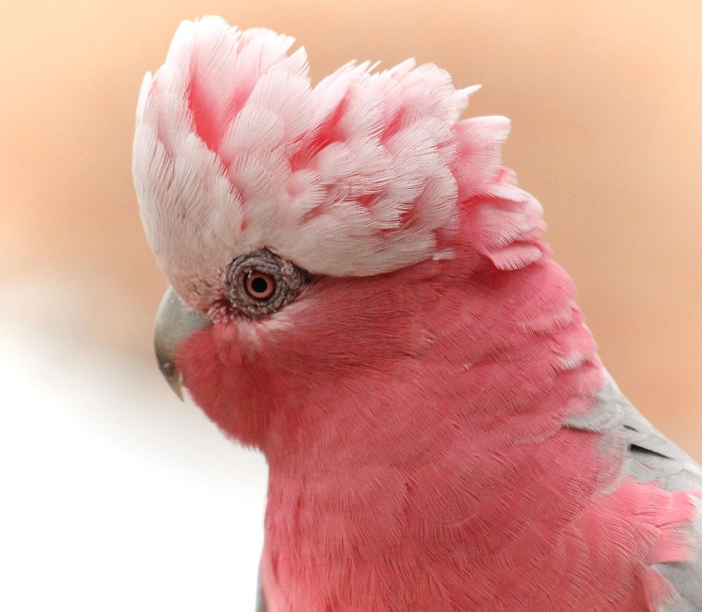 Photograph by Kirsteen Isles