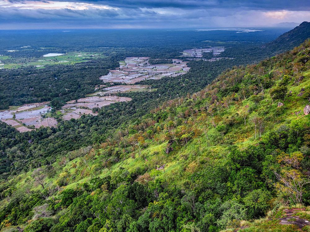 Photograph by Nisal Senanayaka