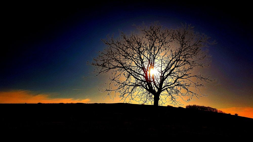 Photograph by Kadar Zoltan