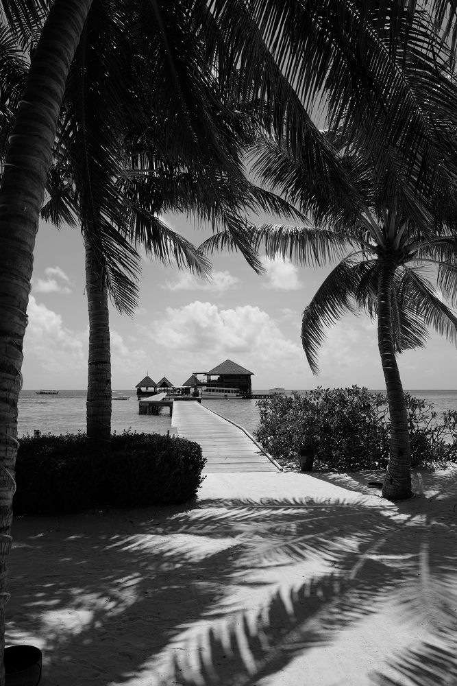 Фотография автора Sergey Tkachev