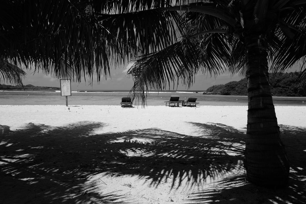 Фотография автора Sergey Tkachev