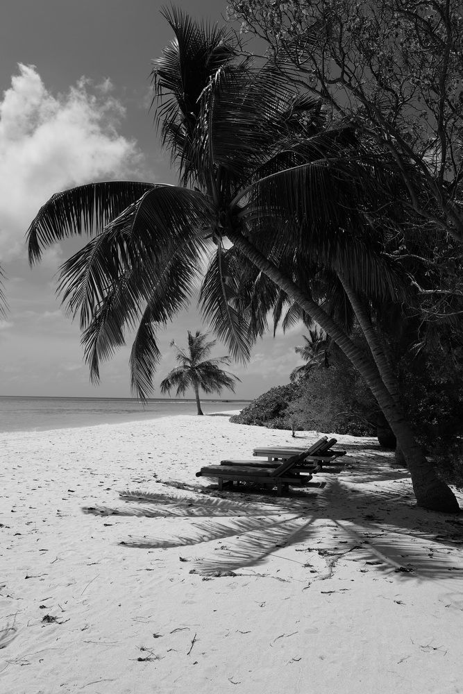 Фотография автора Sergey Tkachev