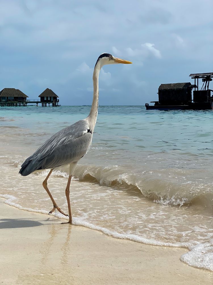 Фотография автора Sergey Tkachev