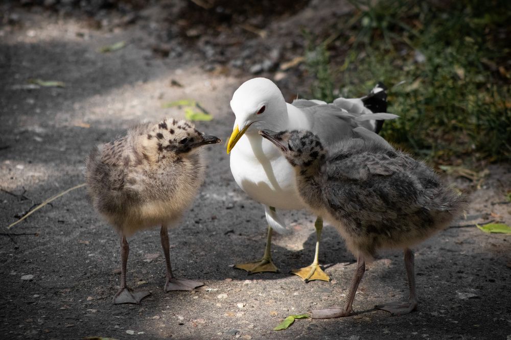 Photograph by Дмитрий Костяков